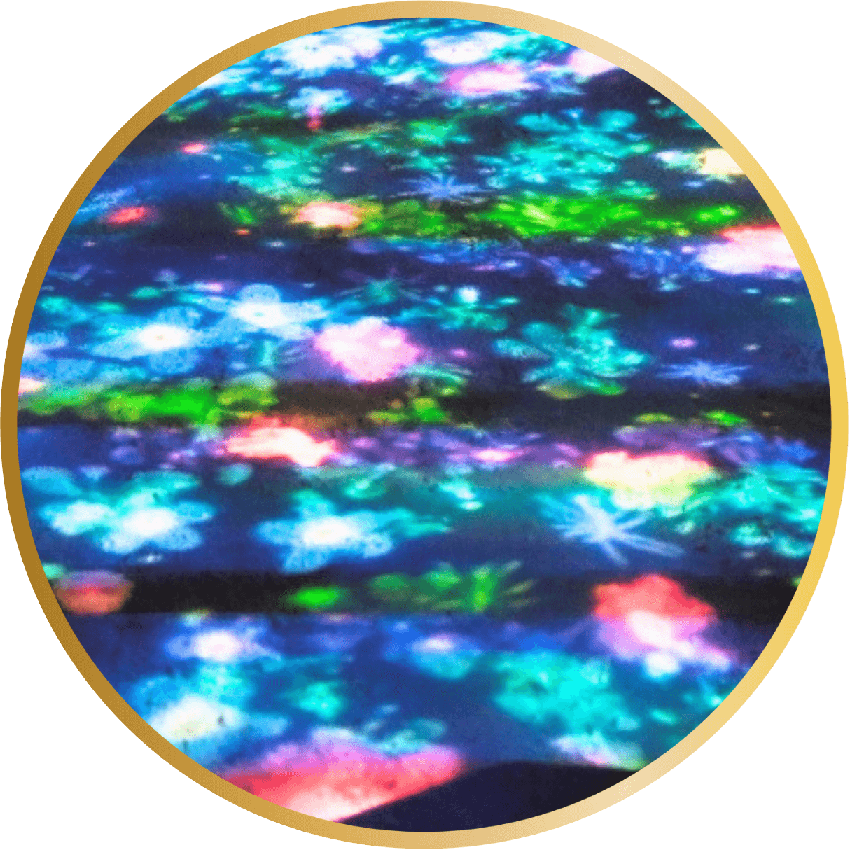 プロジェクションマッピング